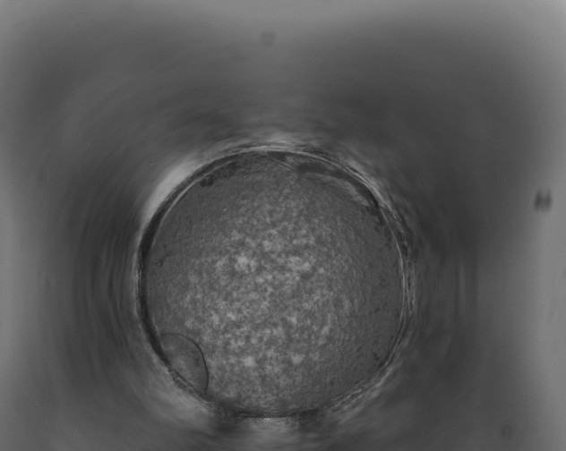 X0000089960102200707061148