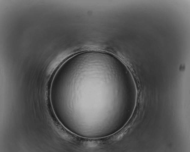X0000089960103200707061148