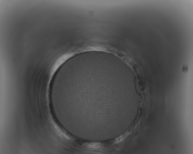 X0000089960104200707061148