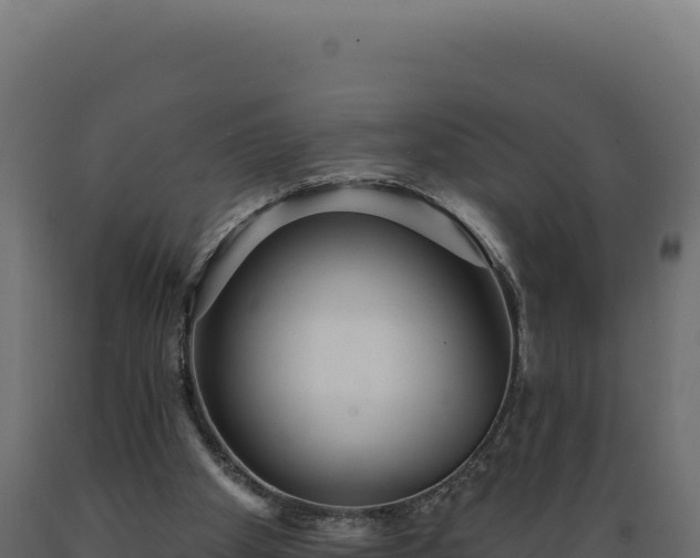 X0000089960105200707061148