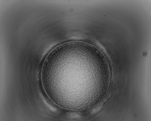 X0000089960106200707061148