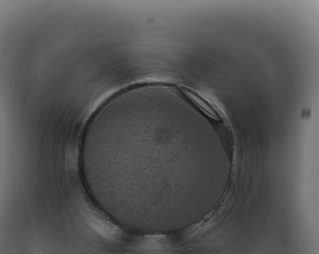 X0000089960108200707061148