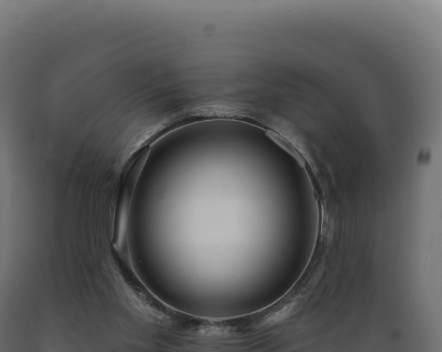X0000089960109200707061148