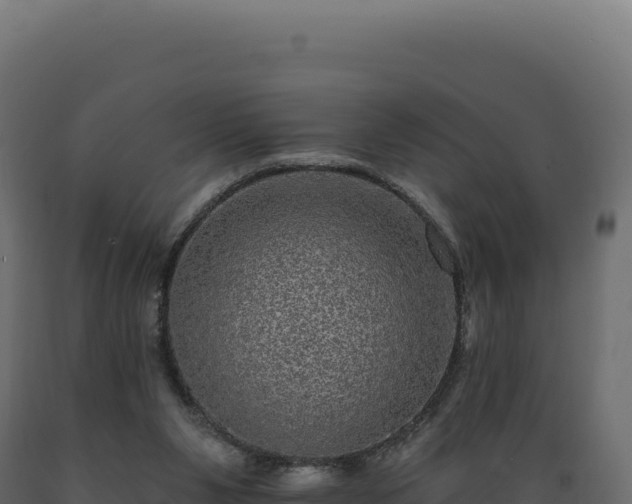 X0000089960111200707061148