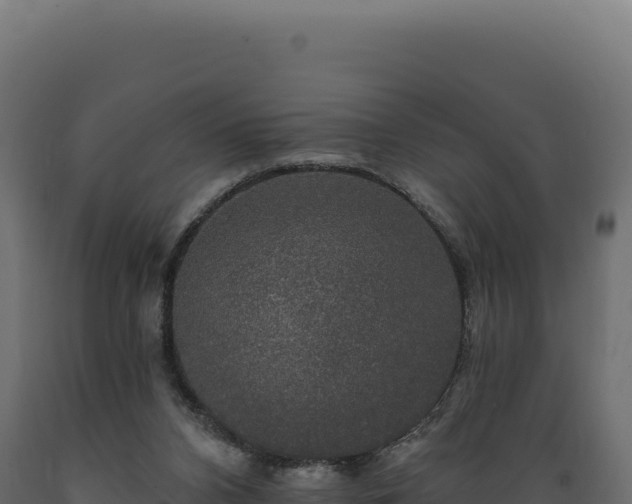 X0000089960112200707061148