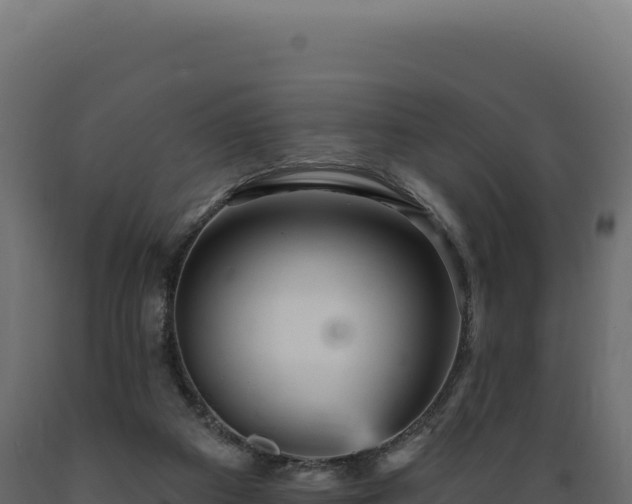 X0000089960113200707061148