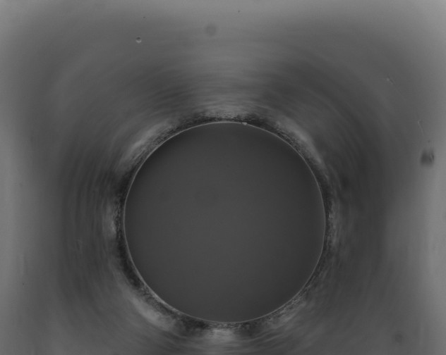 X0000089960114200707061148