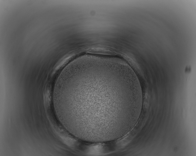 X0000089960116200707061148