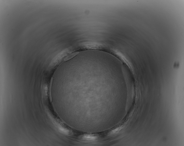 X0000089960117200707061148