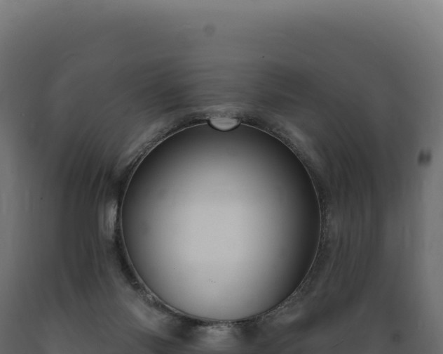 X0000089960118200707061148