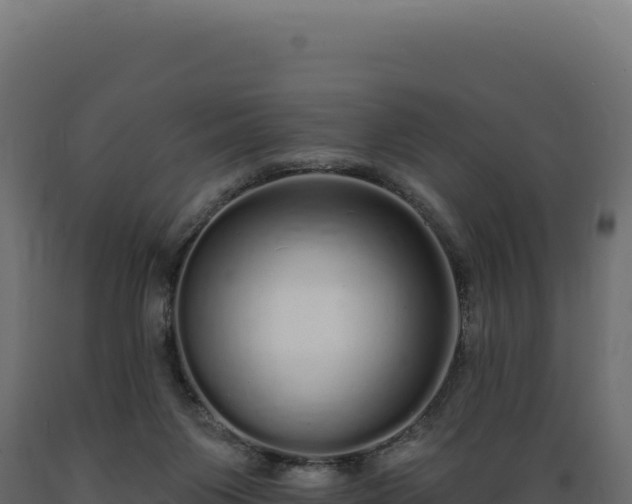 X0000089960119200707061148