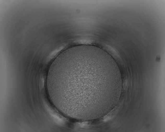 X0000089960120200707061148