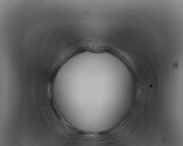 X0000089960121200707061148