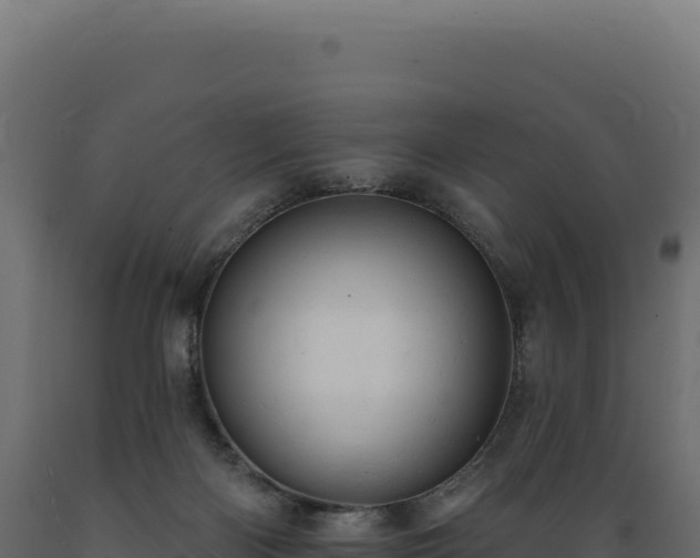 X0000089960122200707061148