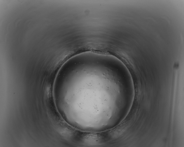 X0000089960123200707061148