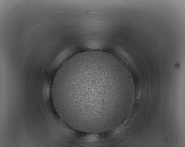 X0000089960124200707061148