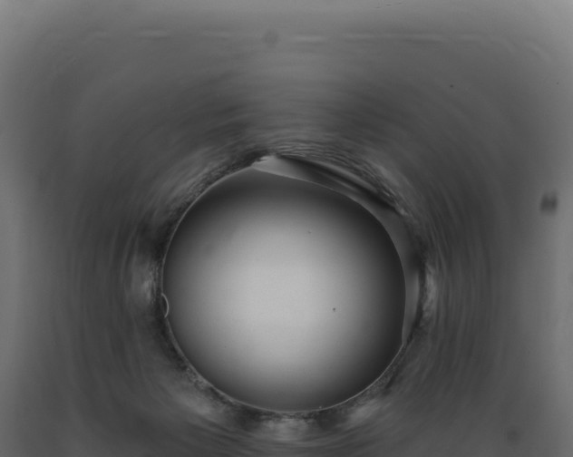 X0000089960125200707061148