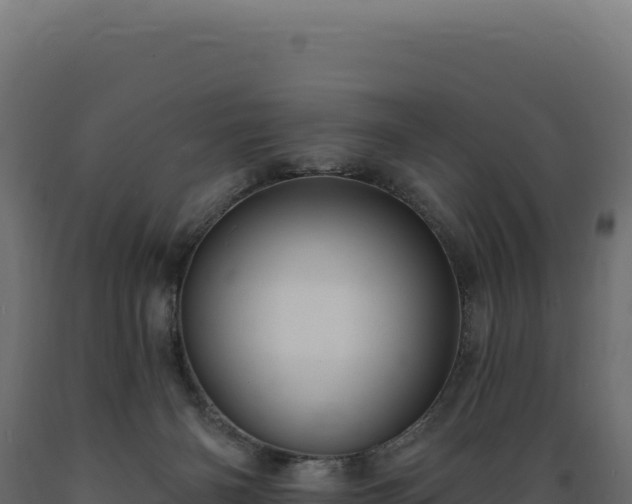 X0000089960126200707061148
