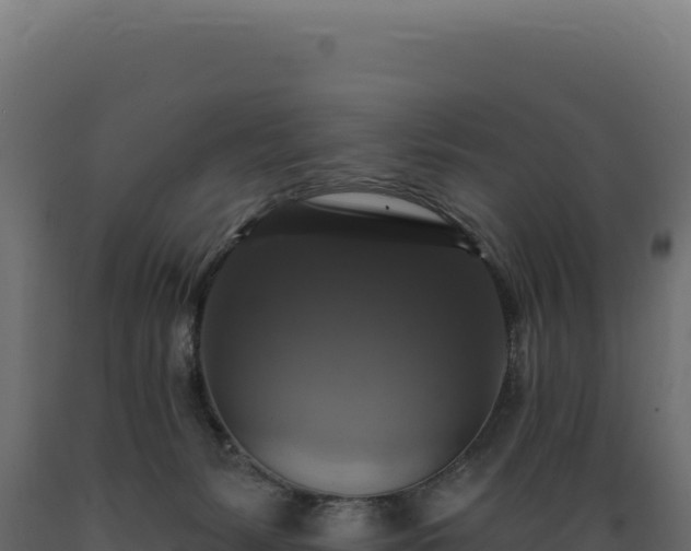 X0000089960127200707061148