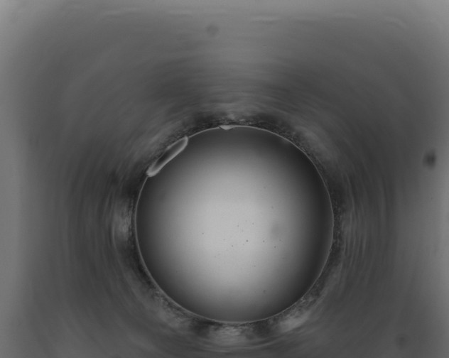 X0000089960129200707061148