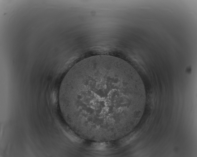 X0000089960131200707061148