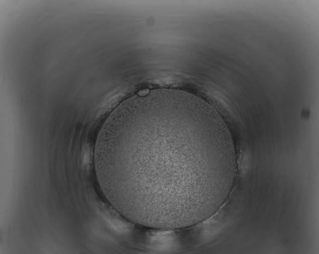 X0000089960132200707061148