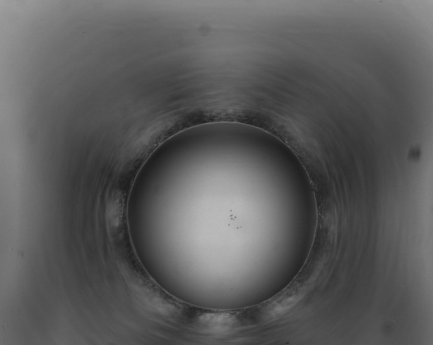 X0000089960133200707061148