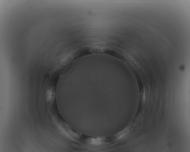 X0000089960134200707061148