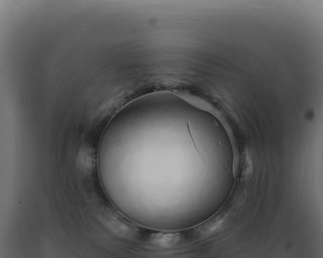 X0000089960135200707061148