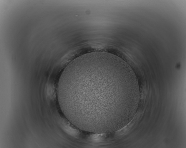 X0000089960136200707061148