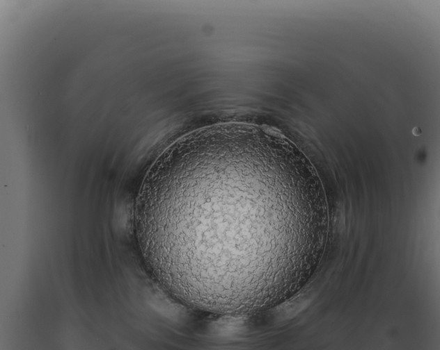 X0000089960138200707061147