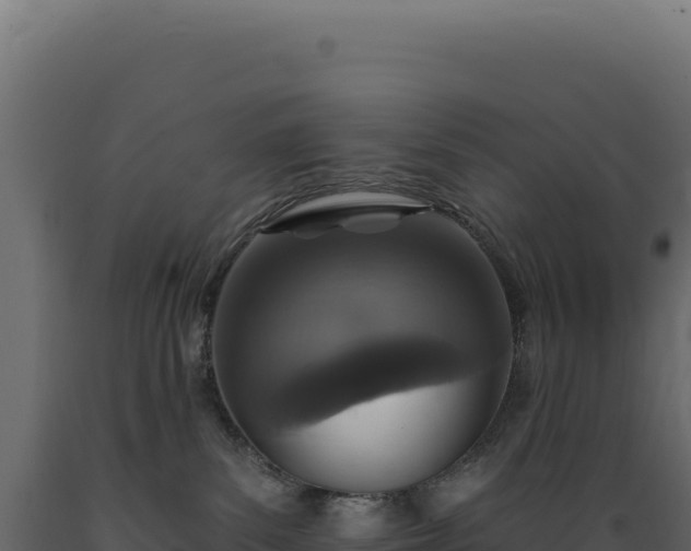 X0000089960139200707061147