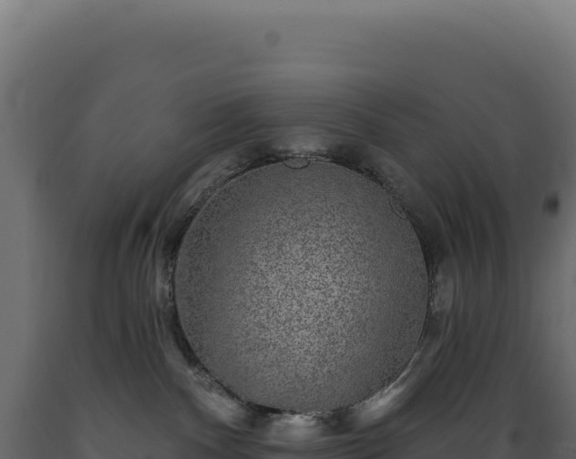 X0000089960140200707061147