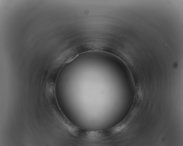 X0000089960141200707061147