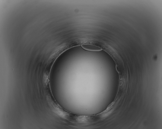 X0000089960142200707061147