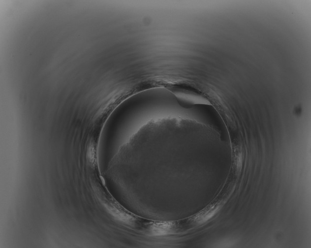 X0000089960143200707061147