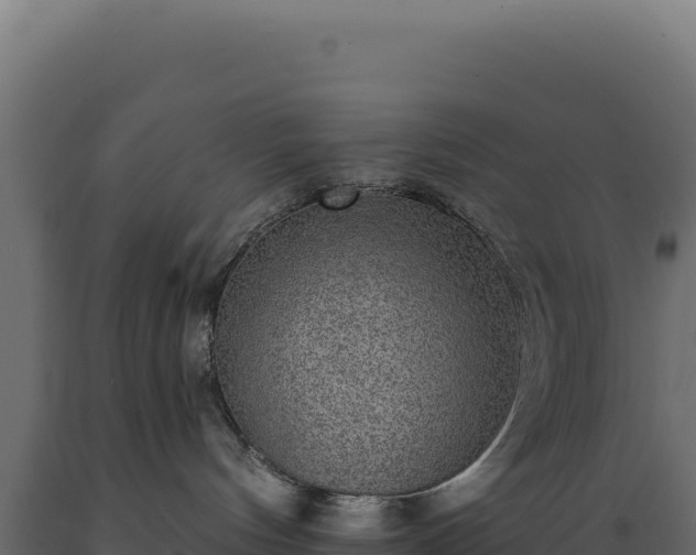 X0000089960144200707061147