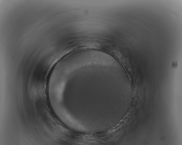 X0000089960146200707061147