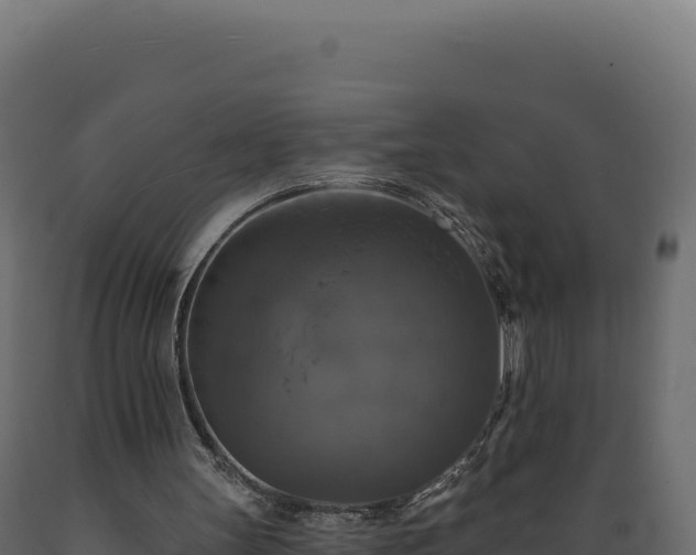 X0000089960147200707061147