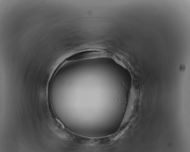 X0000089960148200707061147