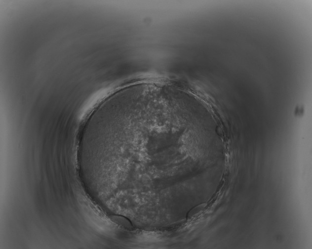 X0000089960149200707061147
