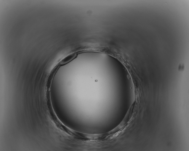 X0000089960150200707061147