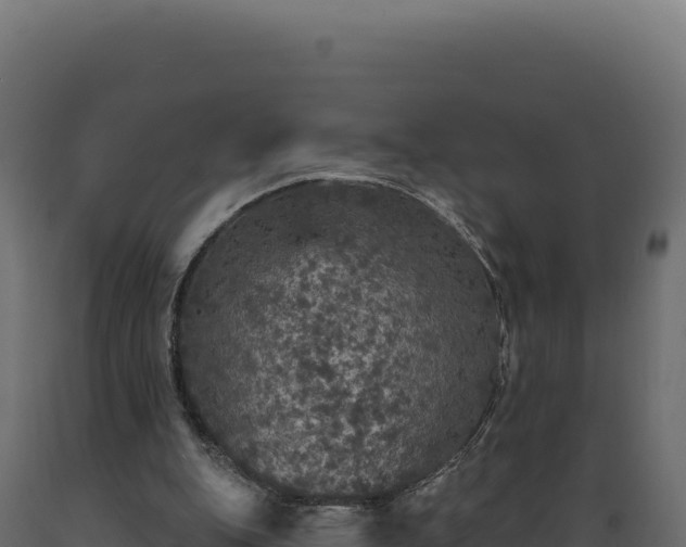 X0000089960151200707061147