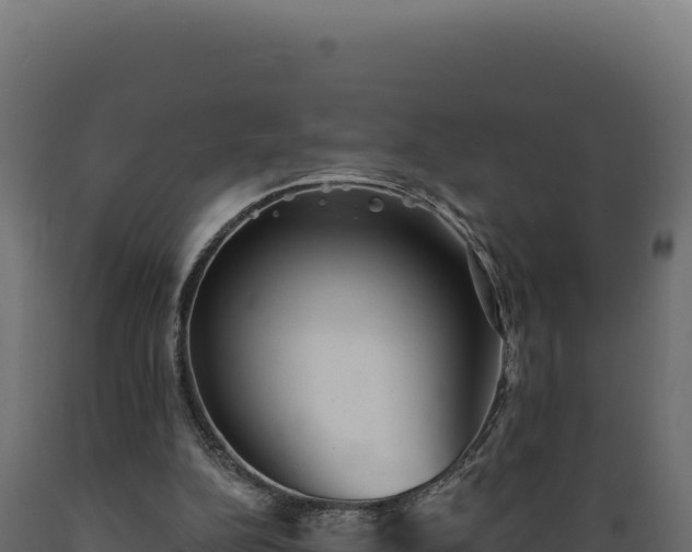 X0000089960152200707061147