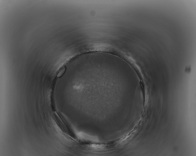X0000089960154200707061147