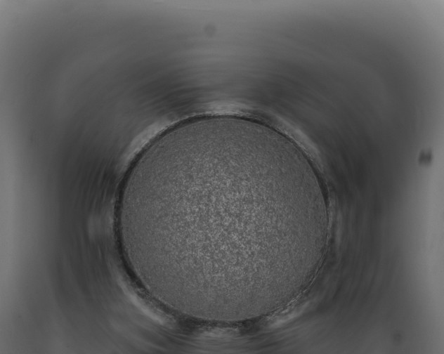 X0000089960155200707061147