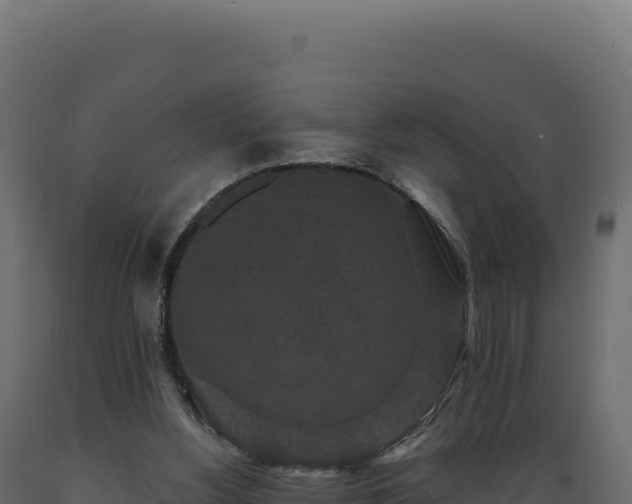 X0000089960156200707061147