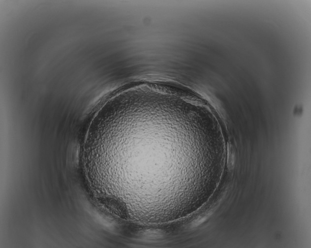 X0000089960157200707061147