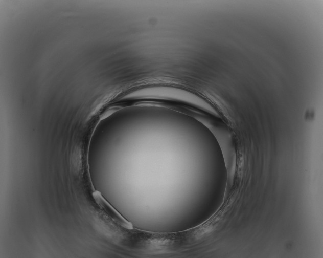 X0000089960158200707061147