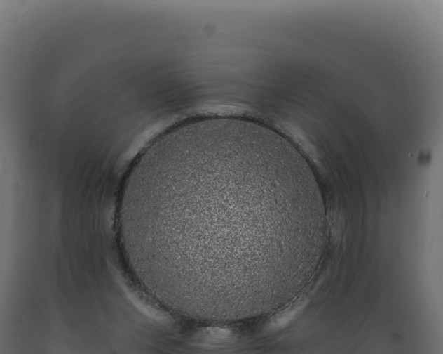 X0000089960159200707061147